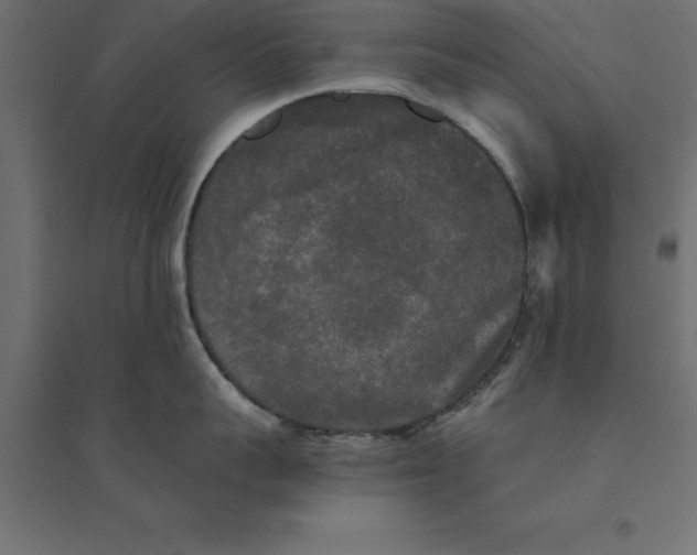 X0000094350959200711241912