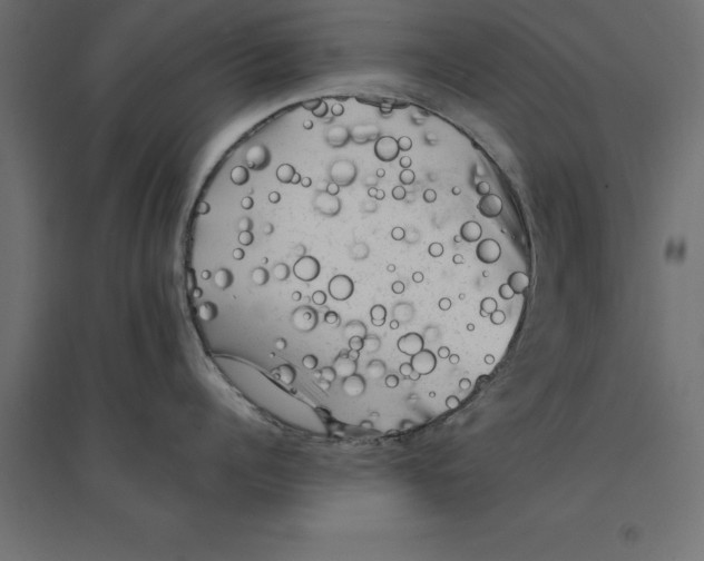 X0000094350960200711241912