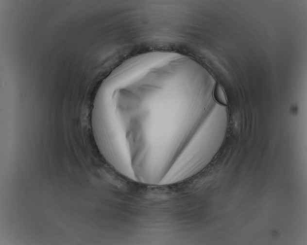 X0000094350964200711241911