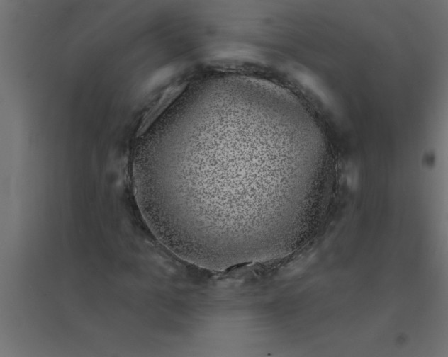 X0000094350965200711241911