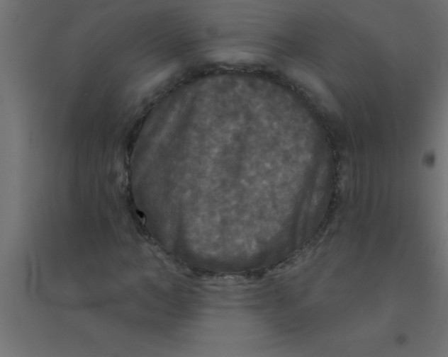 X0000094350966200711241911