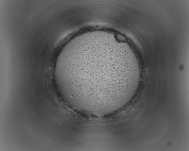 X0000094350967200711241911