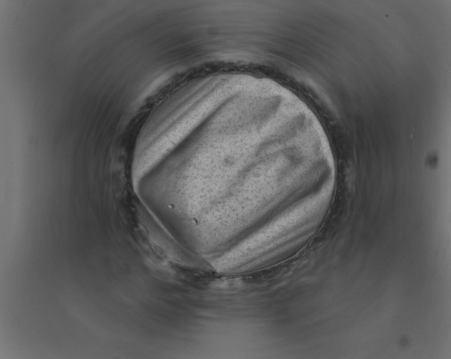 X0000094350968200711241911