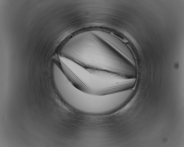 X0000094350969200711241911