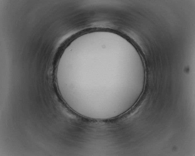 X0000094350971200711241911