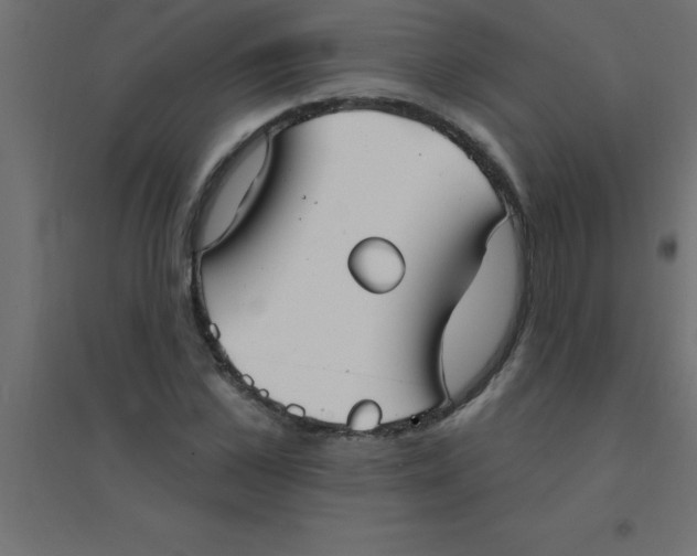 X0000094350973200711241911