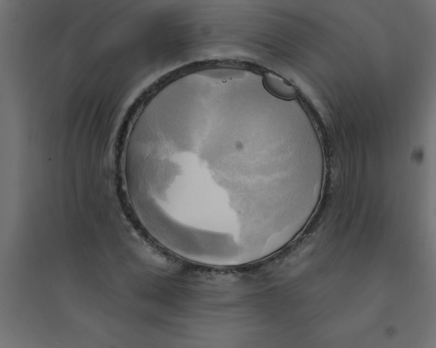 X0000094350975200711241911