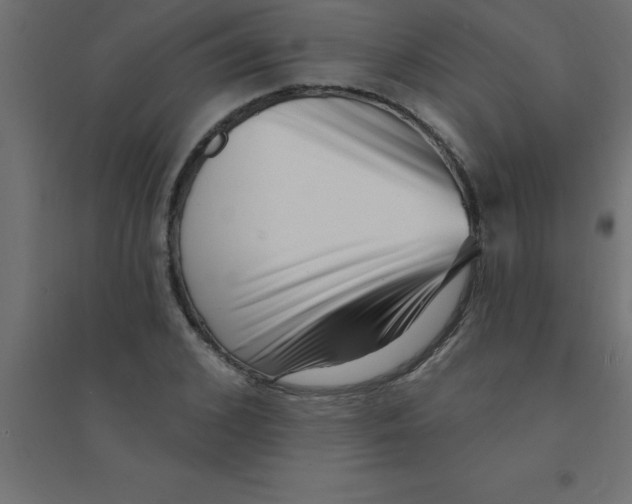 X0000094350976200711241911