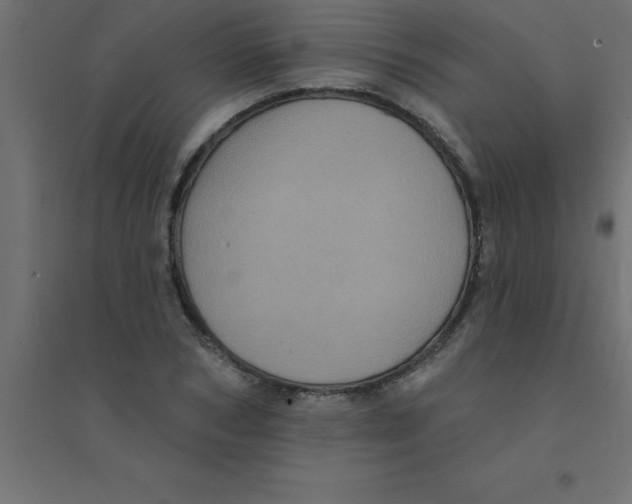 X0000094350978200711241911