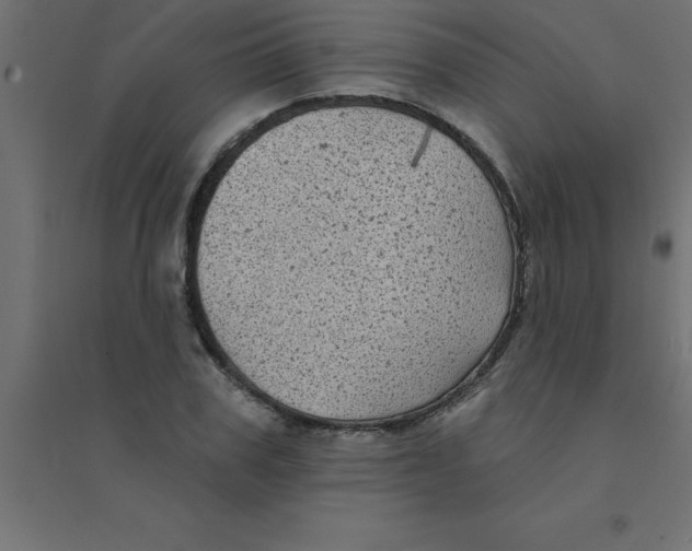 X0000094350979200711241911