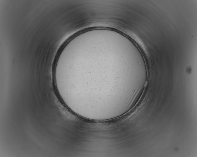 X0000094350980200711241911