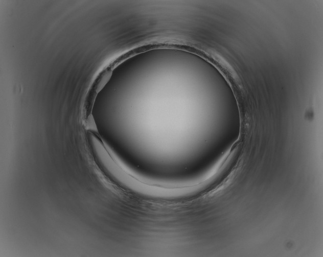 X0000094350981200711241911