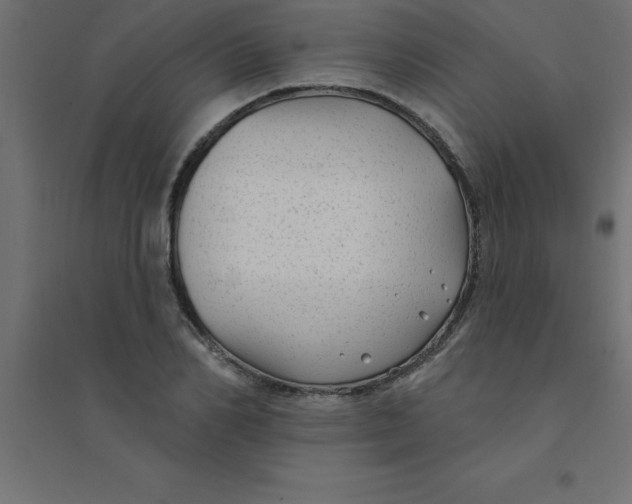 X0000094350982200711241911