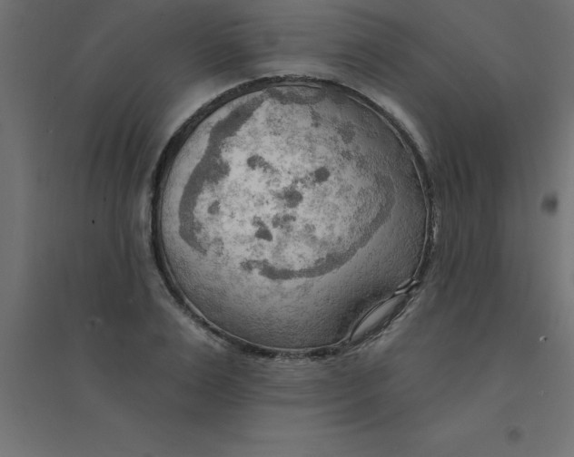 X0000094350983200711241911