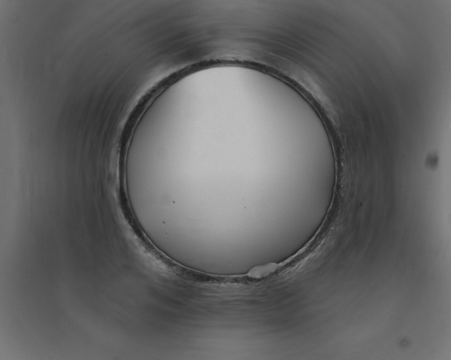 X0000094350984200711241911