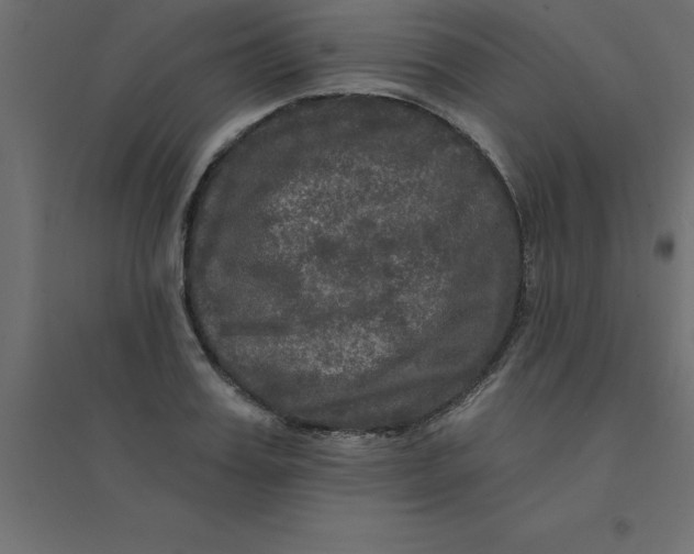 X0000094350987200711241911