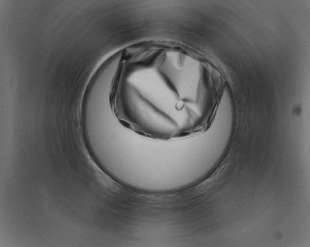 X0000094350988200711241911