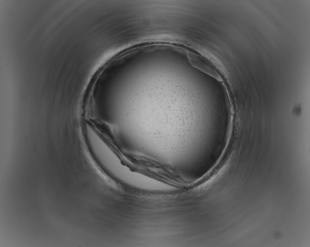 X0000094350989200711241911