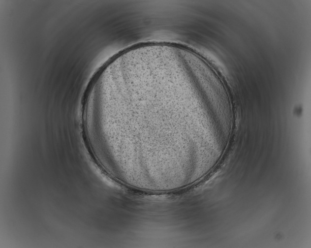 X0000094350990200711241911