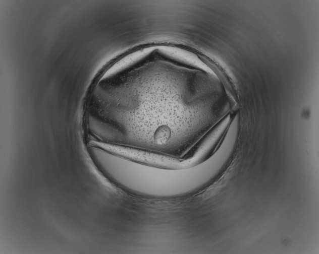 X0000094350991200711241911