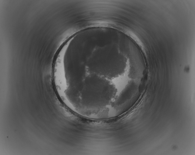 X0000094350994200711241911