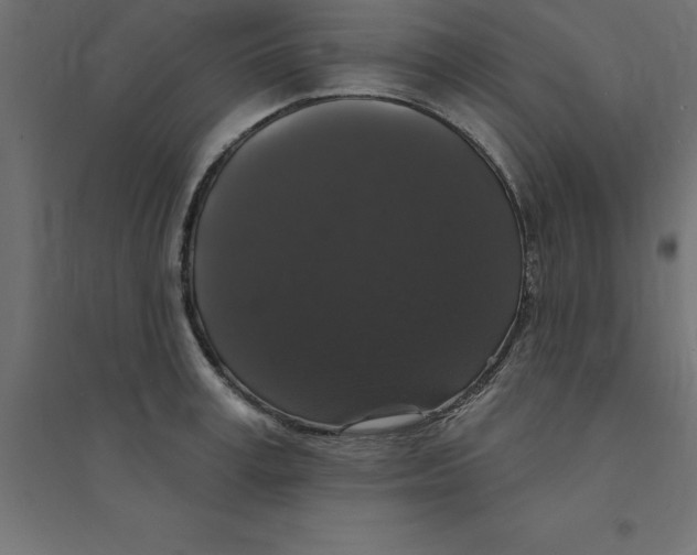 X0000094350995200711241911