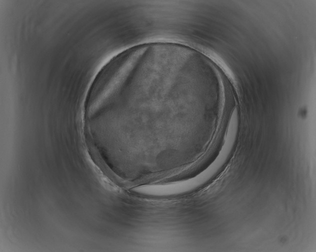 X0000094350996200711241911