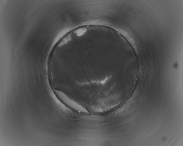 X0000094350998200711241911