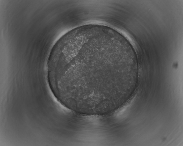 X0000094350999200711241910