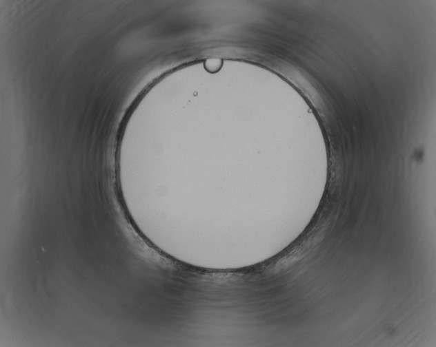 X0000094351000200711241910