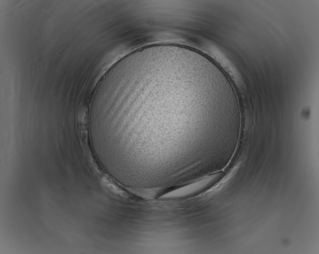 X0000094351001200711241910