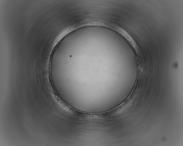 X0000094351002200711241910