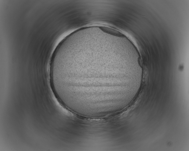 X0000094351003200711241910