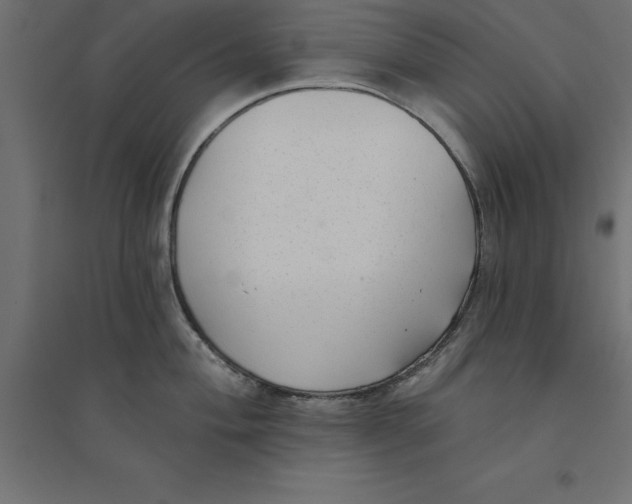 X0000094351004200711241910