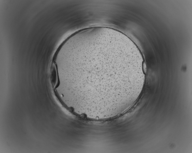 X0000094351005200711241910