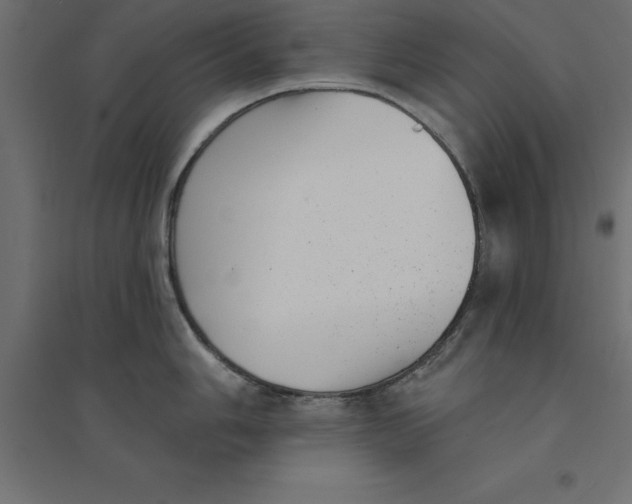 X0000094351006200711241910