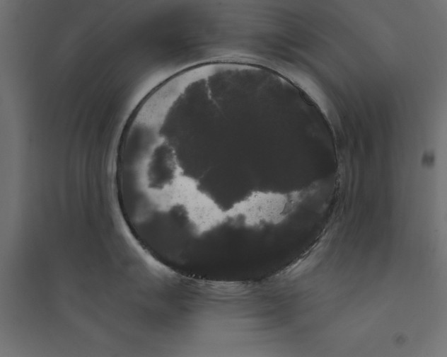 X0000094351007200711241910