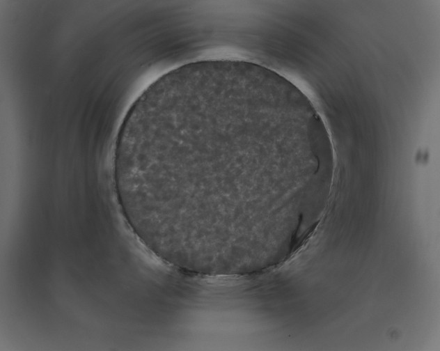 X0000094351008200711241910