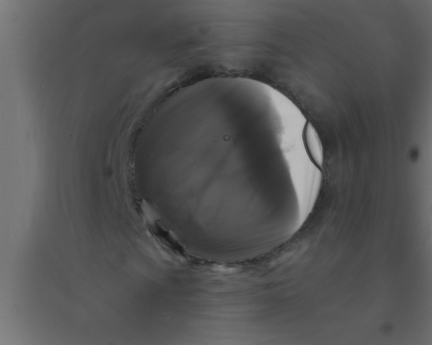 X0000094351009200711241910