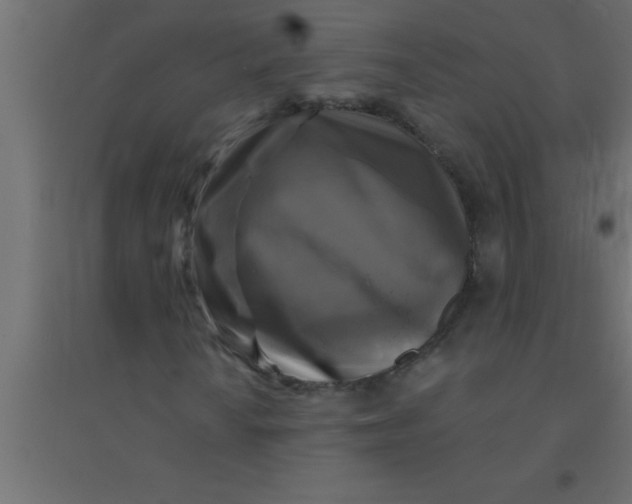 X0000094351010200711241910