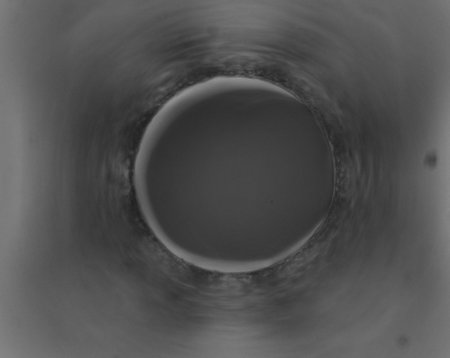 X0000094351013200711241910