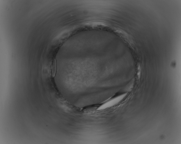 X0000094351014200711241910