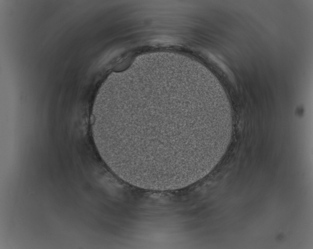 X0000094351015200711241910