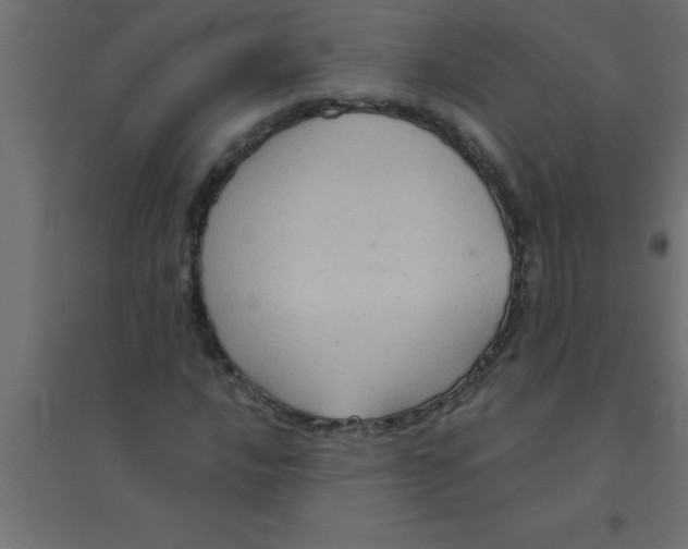 X0000094351016200711241910