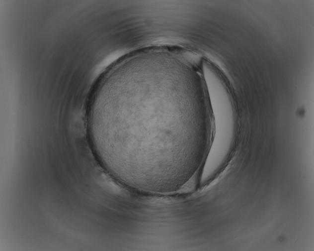 X0000094351018200711241910