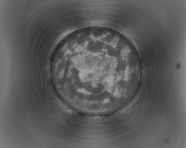 X0000094351019200711241910