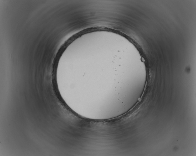 X0000094351020200711241910