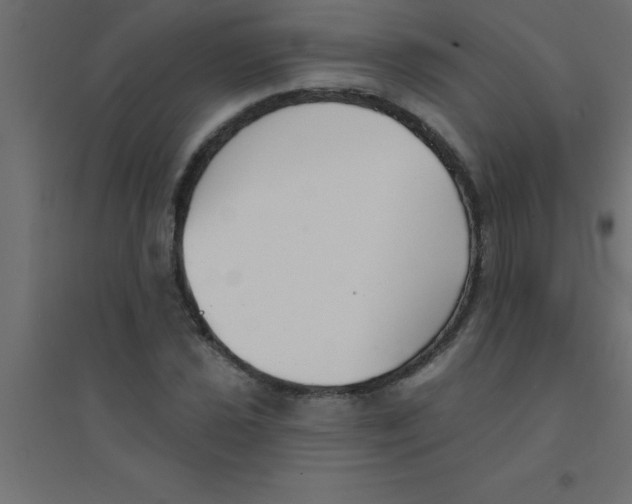 X0000094351021200711241910