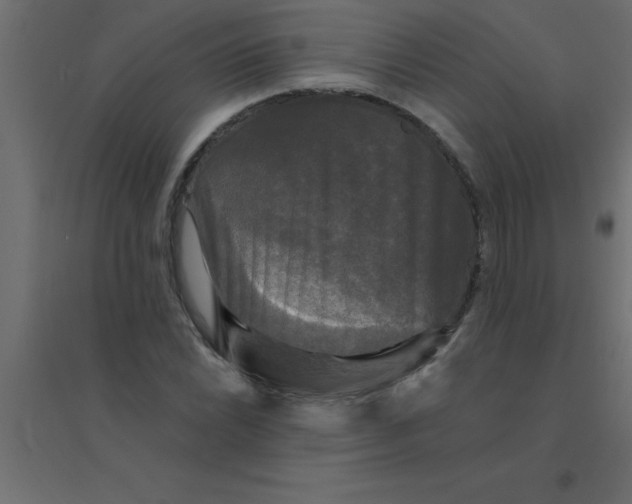 X0000094351022200711241910