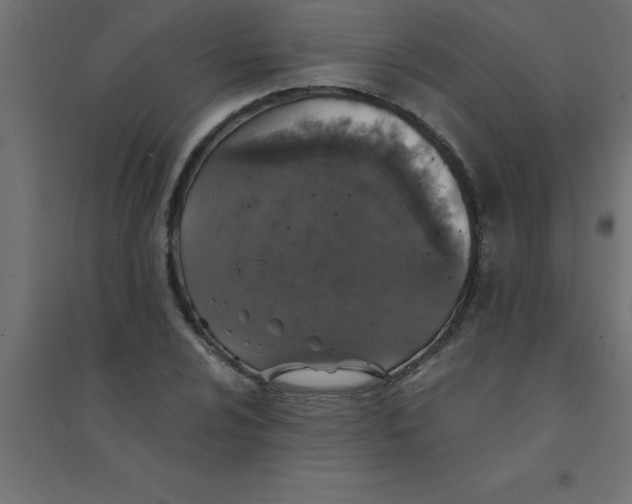 X0000094351024200711241910